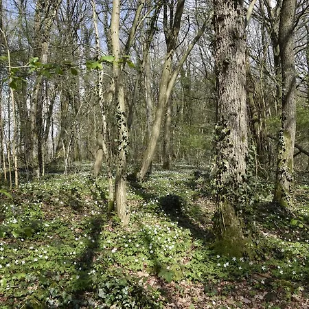 Chalet Vink
